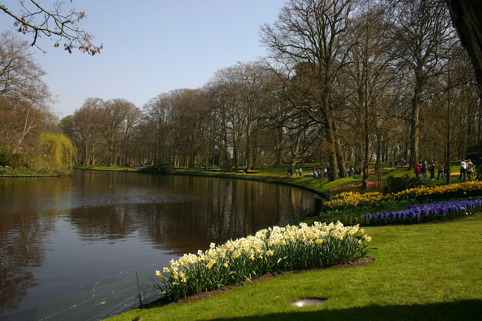 Keukenhof, Lisse